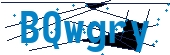 recaptcha
